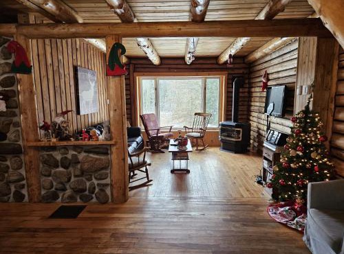 Cozy log cottage
