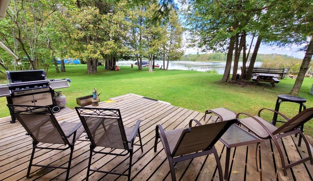 Cozy tiny one bedroom cabin on the Trent River