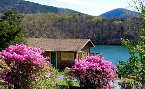 Cute and Comfy Cabin, Stunning Lakefront Views