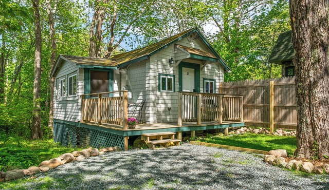Davis Outpost: Pet-Friendly Quiet Cabin w/AC. Screened Sunroom. Walk to Trails