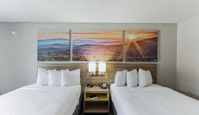 Days Inn I81 double ded room