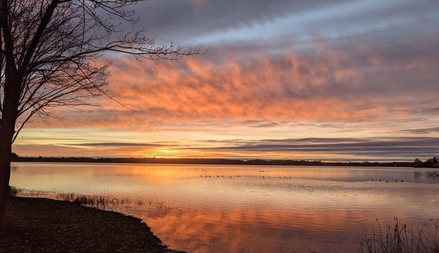 Directement sur le lac, parfait pour la détente et les activités de plein air!