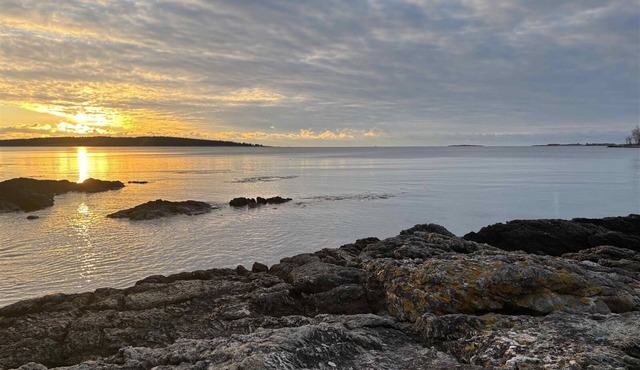 DRIFT INN COTTAGE-1 mile from Port Clyde & Walk to Drift Inn Beach, Dog-Friendly