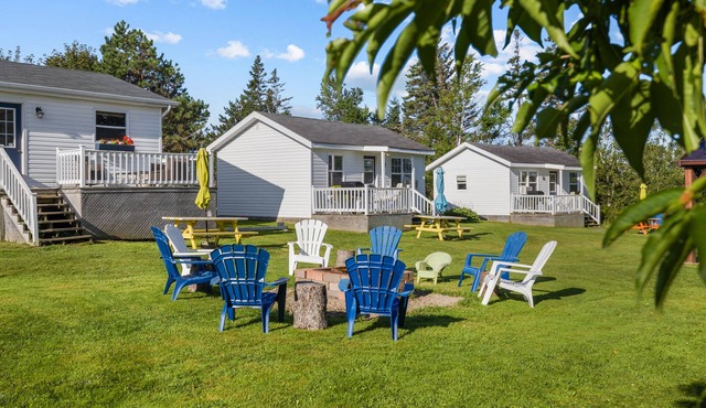 Drift Wood, Spacious 2 BRs, Living, Kitchen, Full Bathroom & a Patio