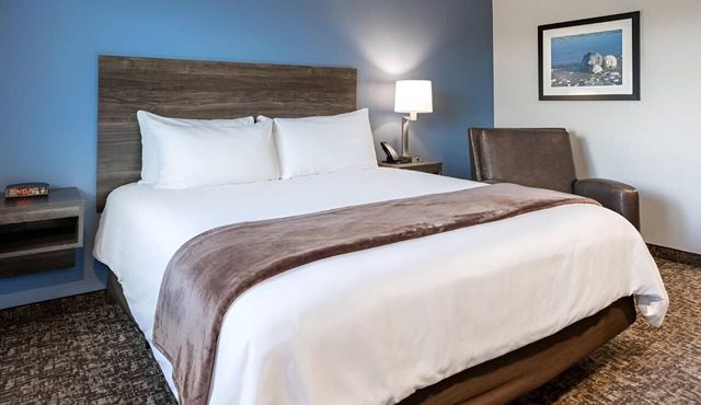 Enjoy Full Kitchen & Outdoor BBQ Grill in a Pet-Friendly Room Near Restaurants