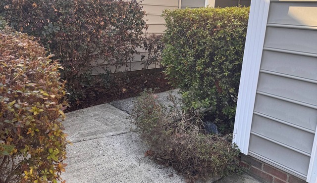 Enjoyable 4-bedroom house with AC in charming Mint Hill
