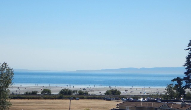 Fabulous 3 bedroom ocean view! Available January 2025 winter/spring booking