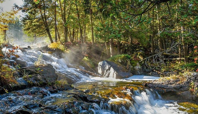 Forest retreat with private waterfalls