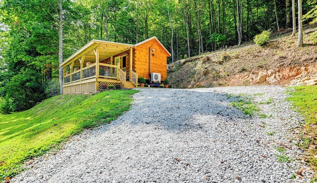 Franklin Cabin w/Creek Access: Hike & Fish!