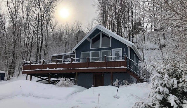 Friendly cottage, view and access to the river