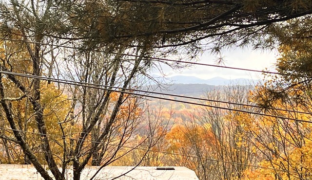 Gas Fireplace, Comfortably sleeps 6, and Walk to Beech Mountain Resort!