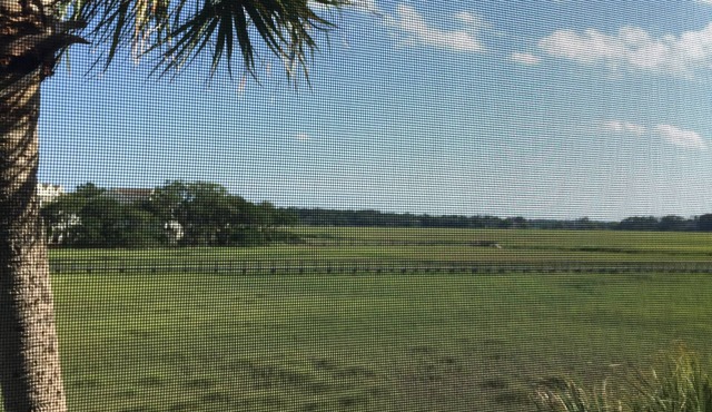 Gated Secluded Marsh View