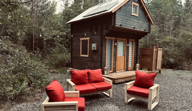 Glamming luxury Cabin, forest retreat. Tiny Home