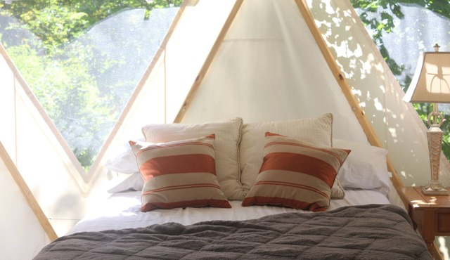 Glamping in nature at Yome Tallulah near Historic Port Hope