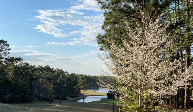 Golf Front SFH, 3 BR, 2 BA, 4 beds, sleep 6 on Pinehurst #6