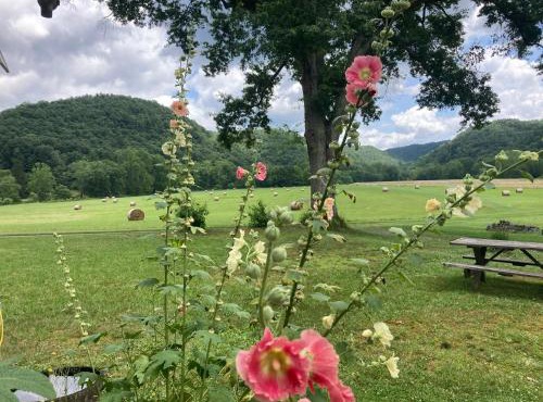 Gorgeous cabin stay near I-77, views, antiques, Wi-fi, wonderful experience for 2!
