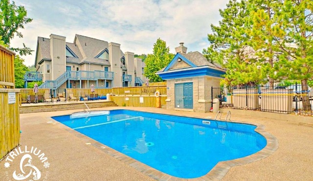 Hillside Studio 1 in Blue Mountain, Mountain View, Full Kitchen, Free Parking