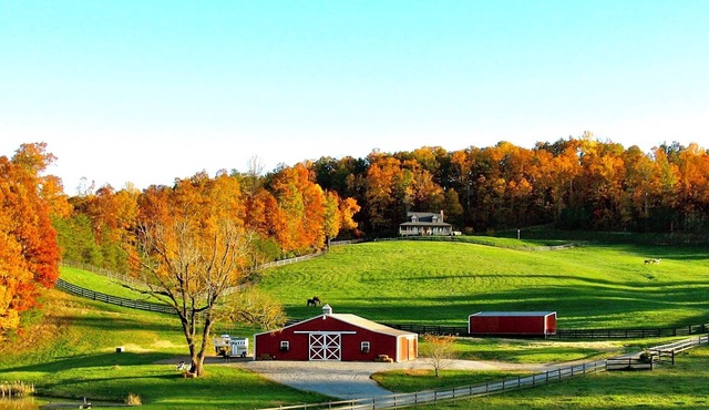 Hilltop Private Tiny Chalet on a Large Farm. Tryon Equestrian. Starlink WiFi.