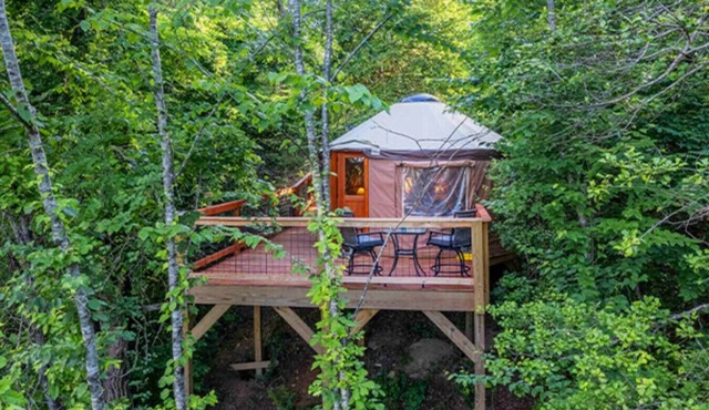Holly Hideaway | Cozy Yurt | Pet Friendly & Trails