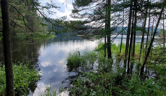 Lakeside privacy in the middle of nature in the heart of Laurentides