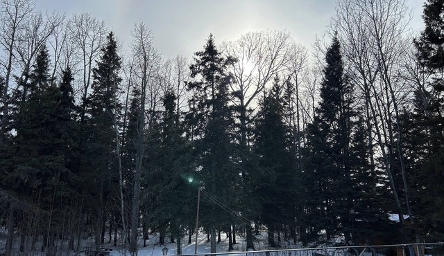 Lakeside Retreat at Beautiful Candle Lake - Your Perfect Family Getaway
