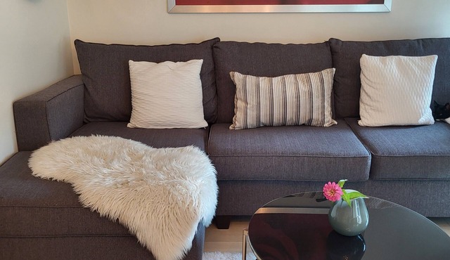 Lovely Liberty Village condo