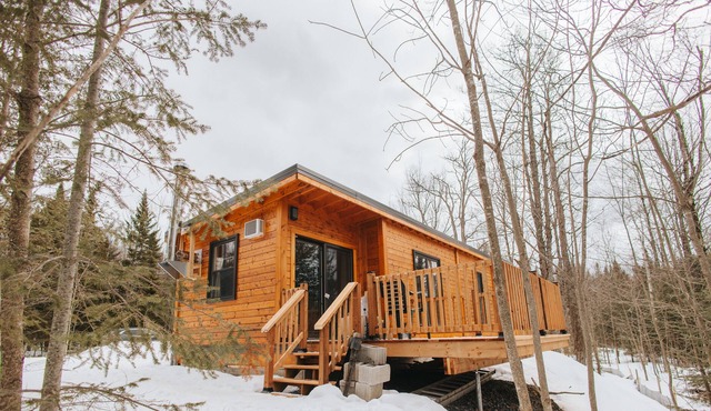Lyster Cabin #1 - Waterfront