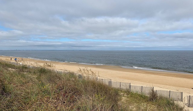 Manor and Mutts #2 - Beach Front, Pet Friendly, Wi-Fi, Parking, W/D, King Bed