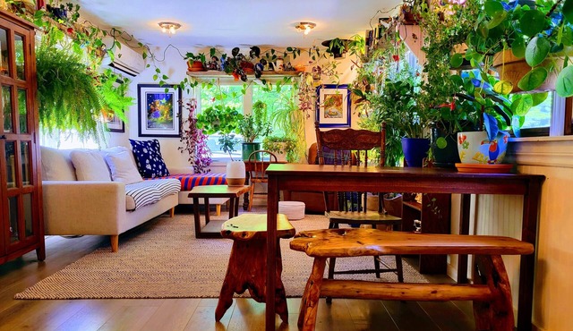 Miracles on Polly - Enchanted River Retreat