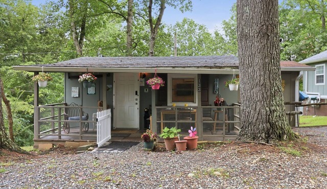 MmsmBears Cabin, hottub, pet friendly