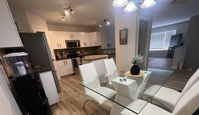 Modern spacious suite, south end, pet friendly!