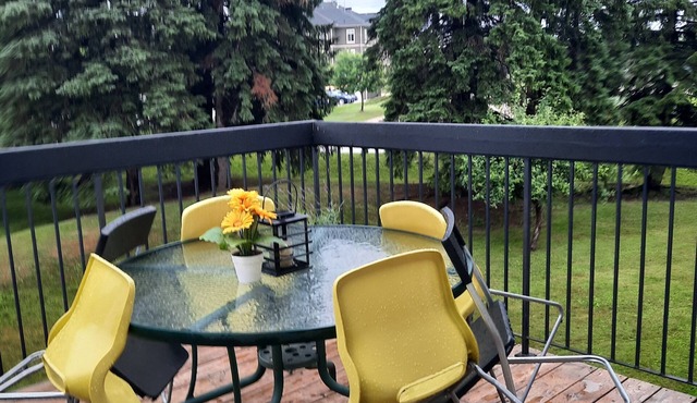 Modern Tornbury townhouse walk to everything, seasonal rental available