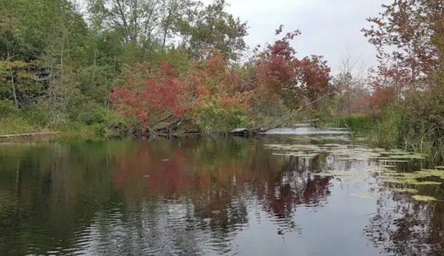 Mozie Park - Your fun romantic destination