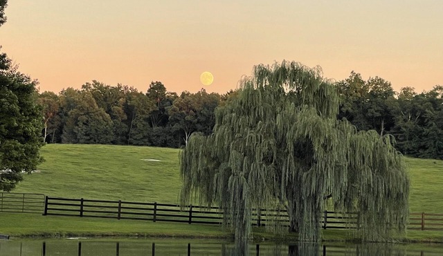 MuddyPond Campground is a beautiful,and peaceful,relaxing place,