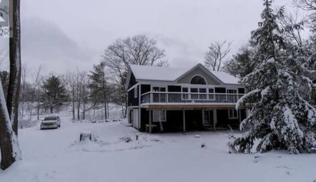 Muskoka Gem on 5 Acres of Enchanted Forest w/Panoramic Sauna!