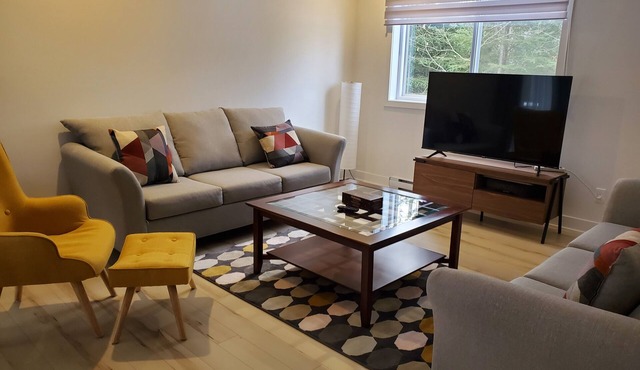 New fully Furnished 3 bedroom condo in Mont Tremblant