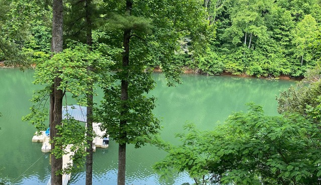NEW Listing! LAKEFRONT COZY with fire pit and dock! NEW internet