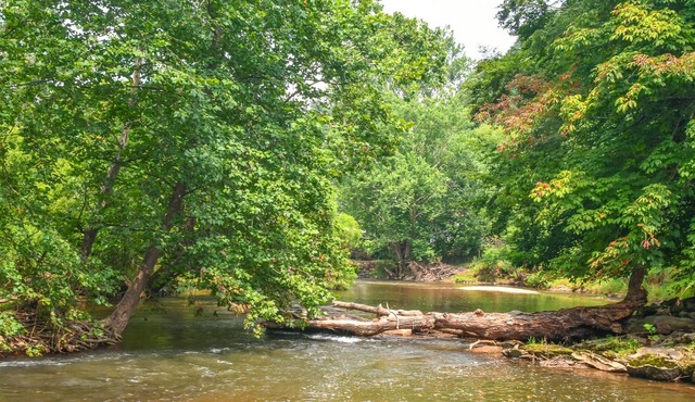 NOW BOOKING RIVER OTTER COTTAGE! 2BR/1BA ON THE NEW RIVER W/FIREPIT AND WIFI