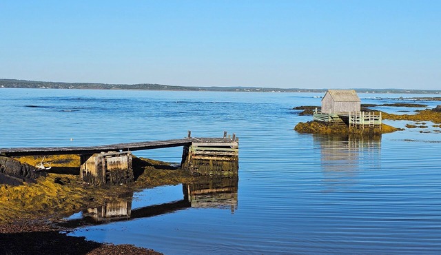 Ocean Front Retreat - Morning coffee watching the BlueNose sail by.