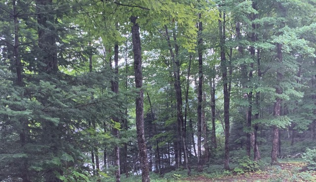 Off grid, boat access fishing retreat.
