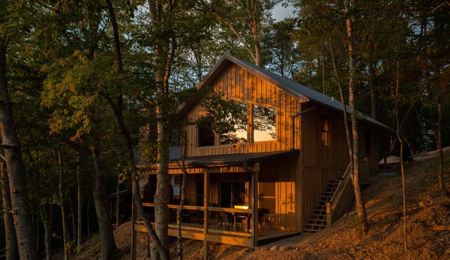 Osprey | Cabin on the South Holston River