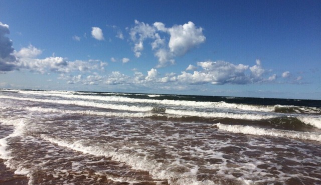 Oysterbay Cottage - Fun, Beach and Food! License number 2100974