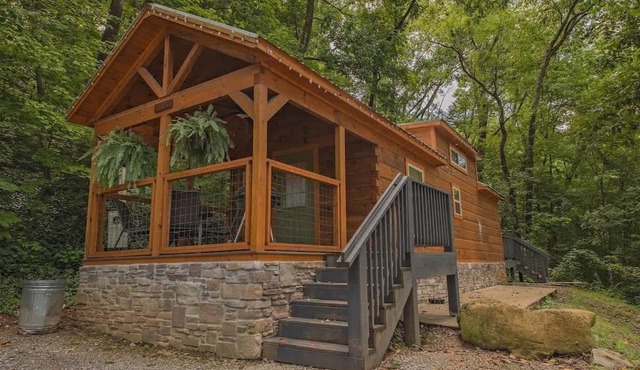 Papa Cabin Tiny Log Home Comfort In Rustic Bliss