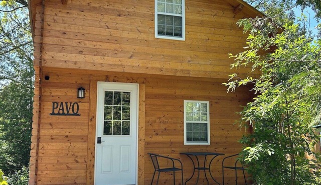 Pavo - New Lofted Kabin