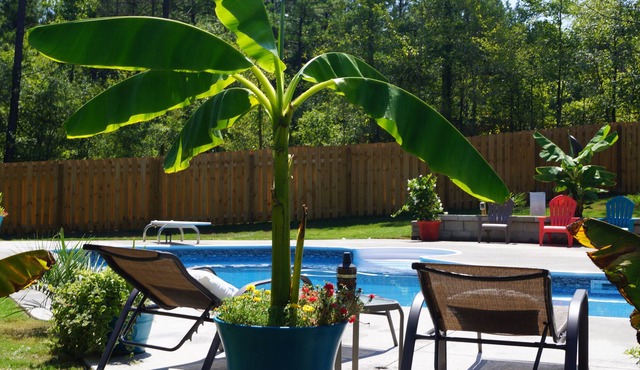 Perfect Masters Rental