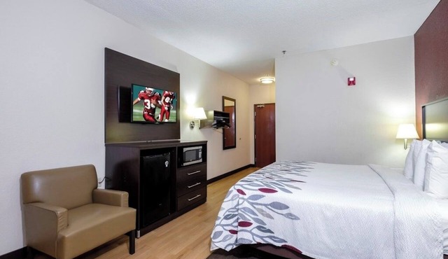 Pet-Friendly Room Perfect for Family Adventures in Knoxville