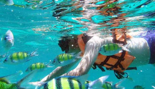 Phi Phi Holiday Resort in Ko Phi Phi