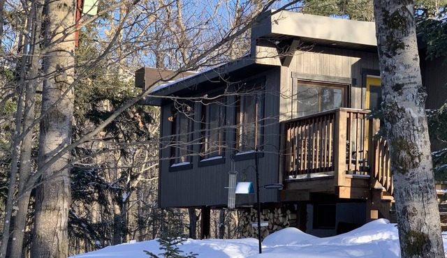 Play & Stay - Ski Hill & Trails at the Bottom of the Street!