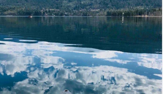 Private Shuswap Lake View Deluxe 2 Bedroom Fully Set-up Suite. With Hot Tub.