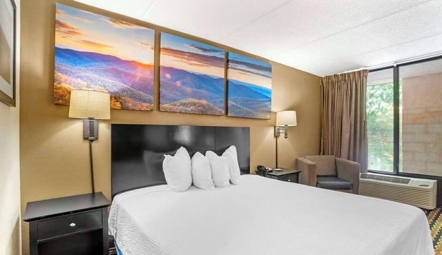 Quality Inn near Speedway